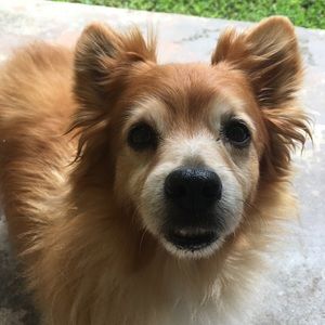 Meet your Posher, Moé